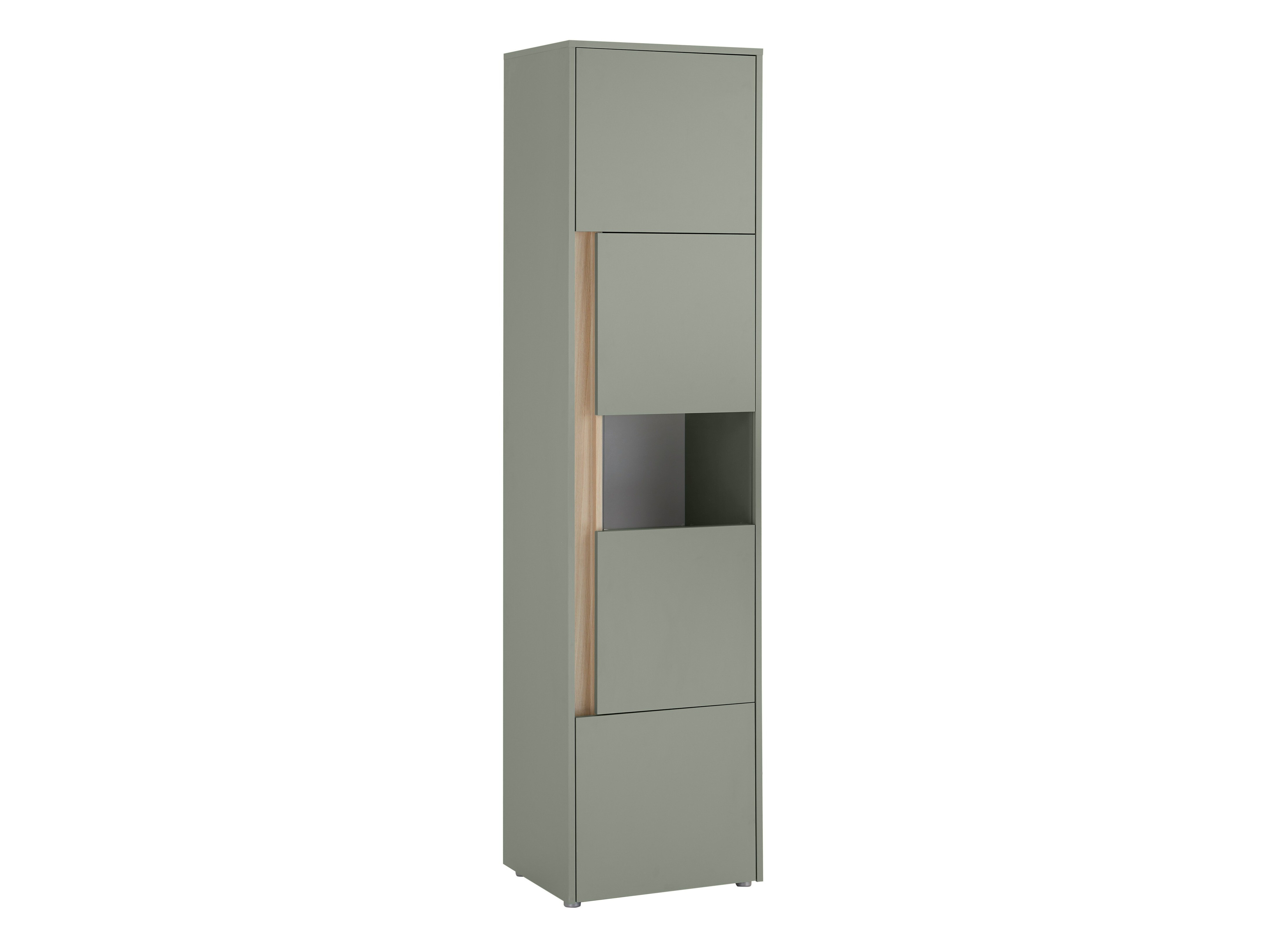 Βιβλιοθήκη Elbsori 100 (Πράσινο + Δρυς)